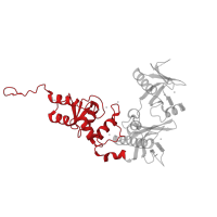 The deposited structure of PDB entry 3fm8 contains 2 copies of CATH domain 1.10.220.150 (Annexin V; domain 1) in Arf-GAP with dual PH domain-containing protein 1. Showing 1 copy in chain C.