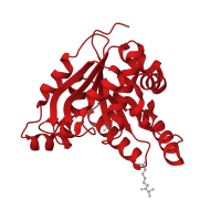 The deposited structure of PDB entry 3fmi contains 4 copies of CATH domain 3.40.50.300 (Rossmann fold) in Dethiobiotin synthetase BioD. Showing 1 copy in chain A.