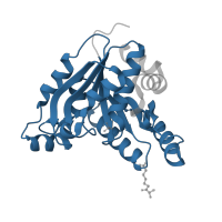 The deposited structure of PDB entry 3fmi contains 4 copies of Pfam domain PF13500 (AAA domain) in Dethiobiotin synthetase BioD. Showing 1 copy in chain A.
