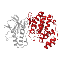 The deposited structure of PDB entry 3fmk contains 1 copy of CATH domain 1.10.510.10 (Transferase(Phosphotransferase); domain 1) in Mitogen-activated protein kinase 14. Showing 1 copy in chain A.