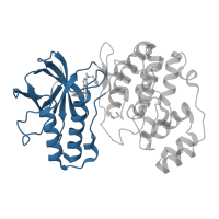 The deposited structure of PDB entry 3fmk contains 1 copy of CATH domain 3.30.200.20 (Phosphorylase Kinase; domain 1) in Mitogen-activated protein kinase 14. Showing 1 copy in chain A.