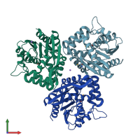 PDB entry 3fob coloured by chain, front view.
