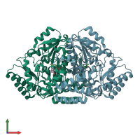PDB entry 3fqa coloured by chain, front view.