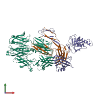 PDB entry 3frp coloured by chain, front view.