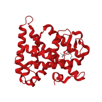 The deposited structure of PDB entry 3fs1 contains 1 copy of CATH domain 1.10.565.10 (Retinoid X Receptor) in Hepatocyte nuclear factor 4-alpha. Showing 1 copy in chain A.