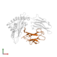 Beta-2-microglobulin in PDB entry 3ft2, assembly 1, front view.