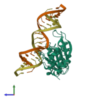 PDB entry 3fte coloured by chain, side view.