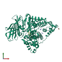 PDB entry 3fum coloured by chain, front view.