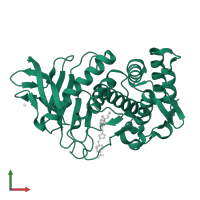 Thermolysin in PDB entry 3fxp, assembly 1, front view.