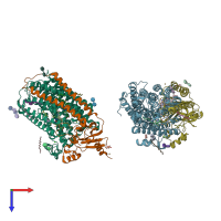 PDB entry 3fyi coloured by chain, top view.