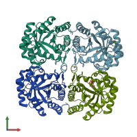 PDB entry 3fyp coloured by chain, front view.
