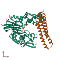 PDB entry 3fzf coloured by chain, front view.