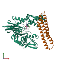 PDB entry 3fzl coloured by chain, front view.