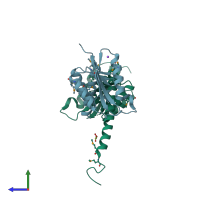 PDB entry 3g13 coloured by chain, side view.