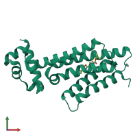 PDB entry 3g1o coloured by chain, front view.