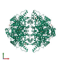 Homo tetrameric assembly 1 of PDB entry 3g2g coloured by chemically distinct molecules, front view.