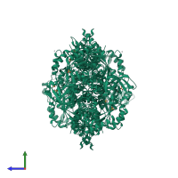 Homo tetrameric assembly 1 of PDB entry 3g2g coloured by chemically distinct molecules, side view.