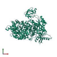 Pyruvate kinase PKM in PDB entry 3g2g, assembly 2, front view.