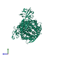 Pyruvate kinase PKM in PDB entry 3g2g, assembly 2, side view.