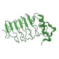 The deposited structure of PDB entry 3g3b contains 3 copies of CATH domain 3.80.10.10 (Leucine-rich repeat, LRR (right-handed beta-alpha superhelix)) in LRRNT domain-containing protein. Showing 1 copy in chain A.