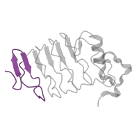 The deposited structure of PDB entry 3g3b contains 4 copies of Pfam domain PF01462 (Leucine rich repeat N-terminal domain) in LRRNT domain-containing protein. Showing 1 copy in chain A.