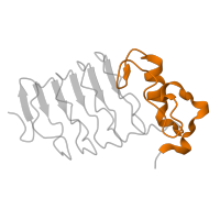 The deposited structure of PDB entry 3g3b contains 4 copies of Pfam domain PF11921 (Domain of unknown function (DUF3439)) in LRRNT domain-containing protein. Showing 1 copy in chain A.