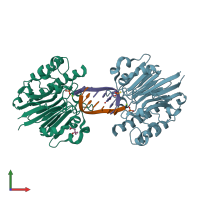 PDB entry 3g3c coloured by chain, front view.