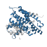 The deposited structure of PDB entry 3g4k contains 4 copies of Pfam domain PF00233 (3'5'-cyclic nucleotide phosphodiesterase) in 3',5'-cyclic-AMP phosphodiesterase 4D. Showing 1 copy in chain D.