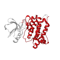 The deposited structure of PDB entry 3g5d contains 2 copies of CATH domain 1.10.510.10 (Transferase(Phosphotransferase); domain 1) in Proto-oncogene tyrosine-protein kinase Src. Showing 1 copy in chain B.