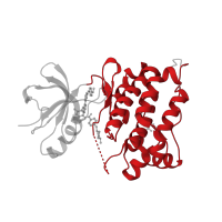 The deposited structure of PDB entry 3g6g contains 2 copies of CATH domain 1.10.510.10 (Transferase(Phosphotransferase); domain 1) in Proto-oncogene tyrosine-protein kinase Src. Showing 1 copy in chain A.