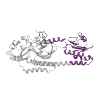 The deposited structure of PDB entry 3g6o contains 2 copies of Pfam domain PF00360 (Phytochrome region) in Bacteriophytochrome. Showing 1 copy in chain A.