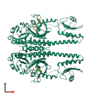 Homo dimeric assembly 1 of PDB entry 3g6o coloured by chemically distinct molecules, front view.