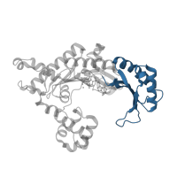 The deposited structure of PDB entry 3g6x contains 1 copy of CATH domain 3.30.1490.100 (Dna Ligase; domain 1) in DNA polymerase iota. Showing 1 copy in chain A.
