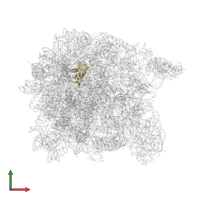 Large ribosomal subunit protein uL22 in PDB entry 3g71, assembly 1, front view.