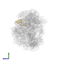 Large ribosomal subunit protein uL22 in PDB entry 3g71, assembly 1, side view.