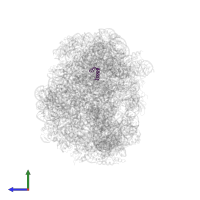 Large ribosomal subunit protein uL10 in PDB entry 3g71, assembly 1, side view.