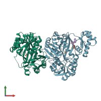 PDB entry 3g8d coloured by chain, front view.