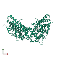 Progesterone receptor in PDB entry 3g8o, assembly 1, front view.