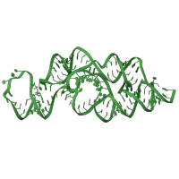 The deposited structure of PDB entry 3g8s contains 4 copies of Rfam domain RF00234 (glmS glucosamine-6-phosphate activated ribozyme) in GLMS RIBOZYME. Showing 1 copy in chain C [auth P].