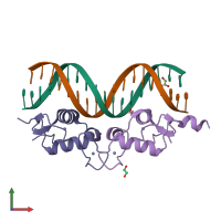 PDB entry 3g9j coloured by chain, front view.