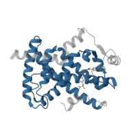 The deposited structure of PDB entry 3gbk contains 2 copies of Pfam domain PF00104 (Ligand-binding domain of nuclear hormone receptor) in Peroxisome proliferator-activated receptor gamma. Showing 1 copy in chain A.