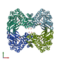 PDB entry 3ge1 coloured by chain, front view.