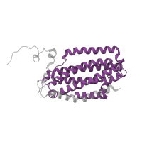 The deposited structure of PDB entry 3ge8 contains 2 copies of Pfam domain PF02332 (Methane/Phenol/Toluene Hydroxylase) in Toluene-4-monooxygenase system, hydroxylase component subunit beta. Showing 1 copy in chain B.