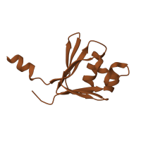 The deposited structure of PDB entry 3ge8 contains 2 copies of CATH domain 3.90.56.10 (Phenol Hydroxylase P2 Protein) in Toluene-4-monooxygenase system, effector component. Showing 1 copy in chain D [auth E].