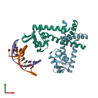 PDB entry 3gfi coloured by chain, front view.