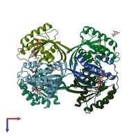 PDB entry 3gft coloured by chain, top view.