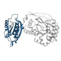 The deposited structure of PDB entry 3gg0 contains 2 copies of CATH domain 3.30.70.100 (Alpha-Beta Plaits) in Diguanylate phosphodiesterase. Showing 1 copy in chain B.