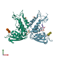 PDB entry 3ghh coloured by chain, front view.