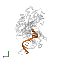 5'-D(*GP*TP*TP*GP*GP*AP*TP*GP*GP*TP*AP*GP*(2DA))-3' in PDB entry 3gii, assembly 1, side view.