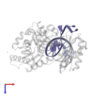 5'-D(*CP*TP*AP*AP*CP*(8OG)P*CP*TP*AP*CP*CP*AP*TP*CP*CP*AP*AP*CP*C)-3' in PDB entry 3gii, assembly 1, top view.